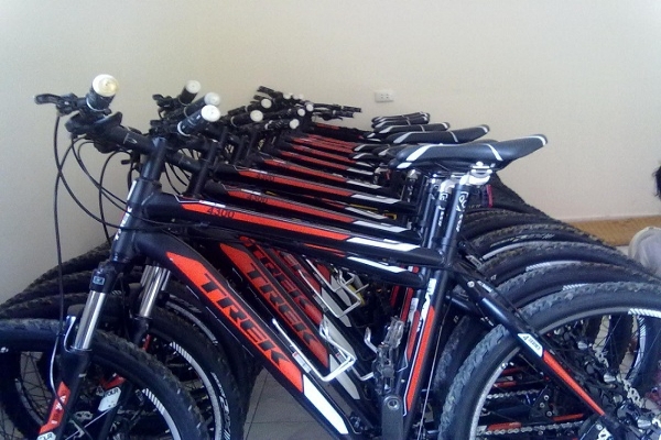 Bicycle For Rental
